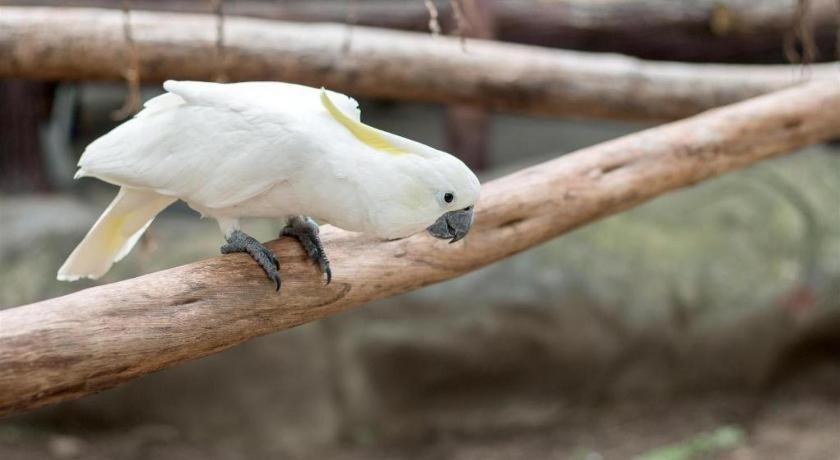 Score Birds Hotel آنغلوس المظهر الخارجي الصورة
